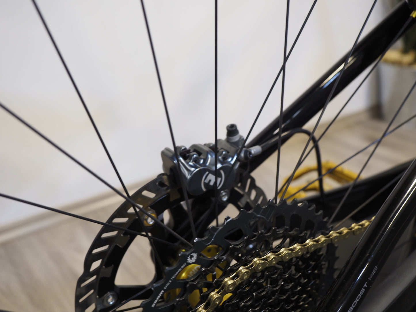 Trek Rail 9.9 Custom – E-MTB