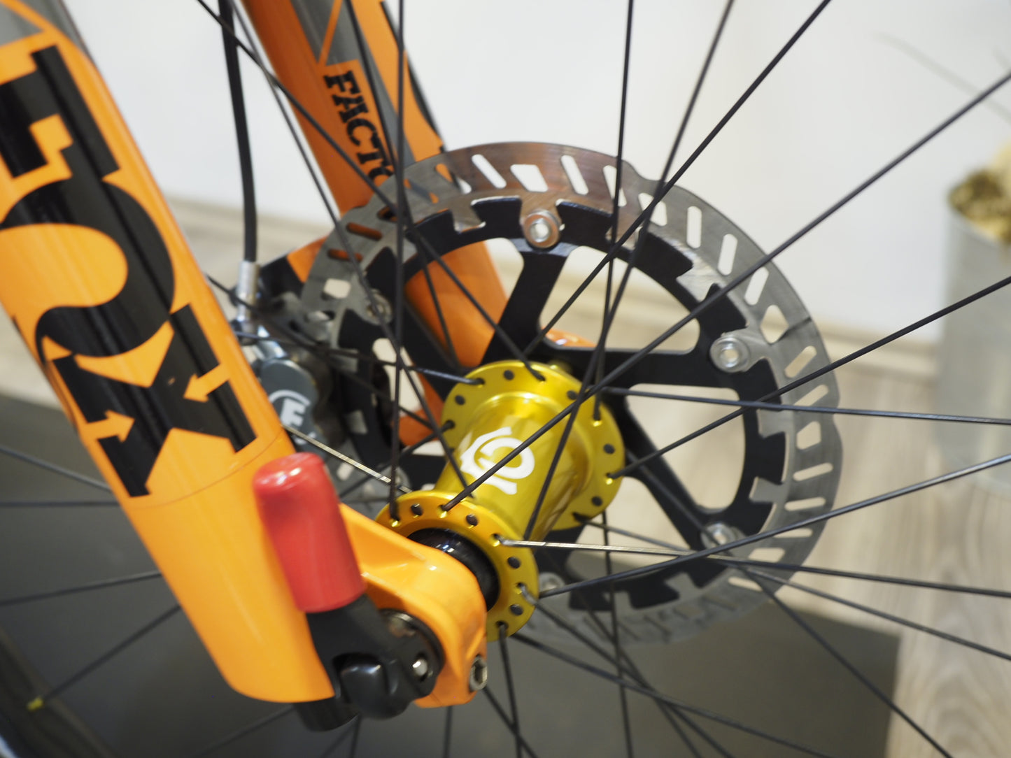 Trek Rail 9.9 Custom – E-MTB