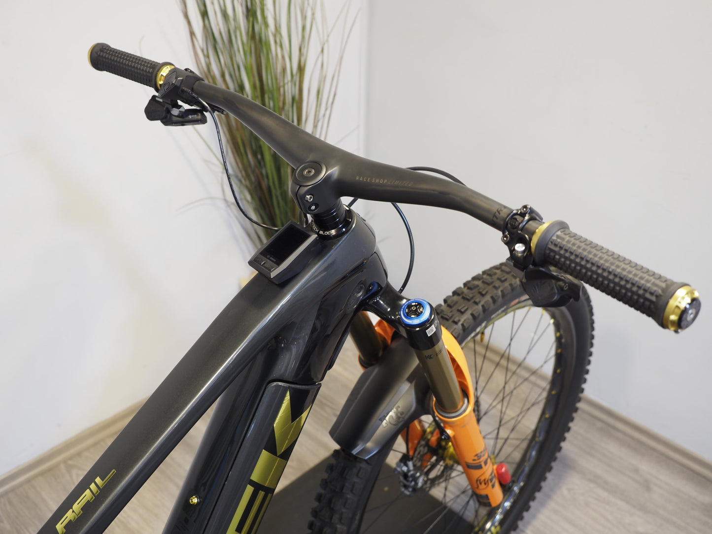 Trek Rail 9.9 Custom – E-MTB